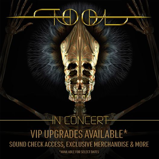 VIP UPGRADES FOR PHOENIX – THE ULTIMATE TOOL EXPERIENCE